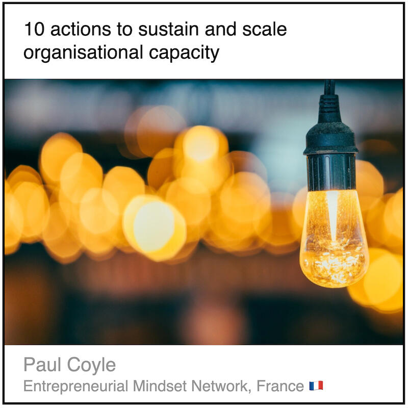 Express 4(3) Paul Coyle Download PDF: 10 actions to sustain and scale organisational capacity by Paul Coyle (Entrepreneurial Mindset Network, France).
